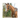 Avignon 5-Point Breastplate
