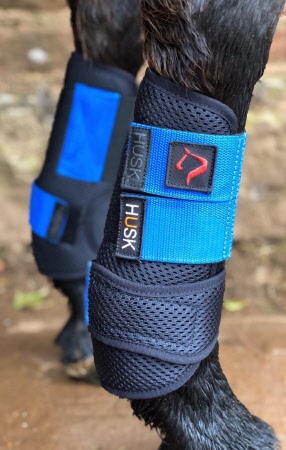 Husk hotsell tendon boots